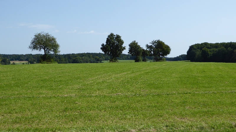 Albhochflaeche