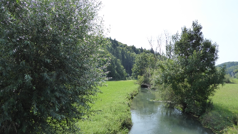 Lauter
