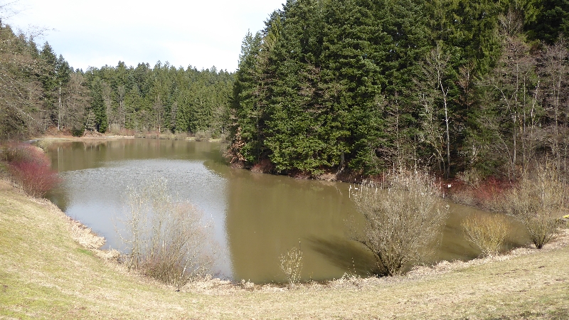 Hüttenbühlsee