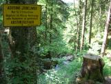 Wildbachtobel