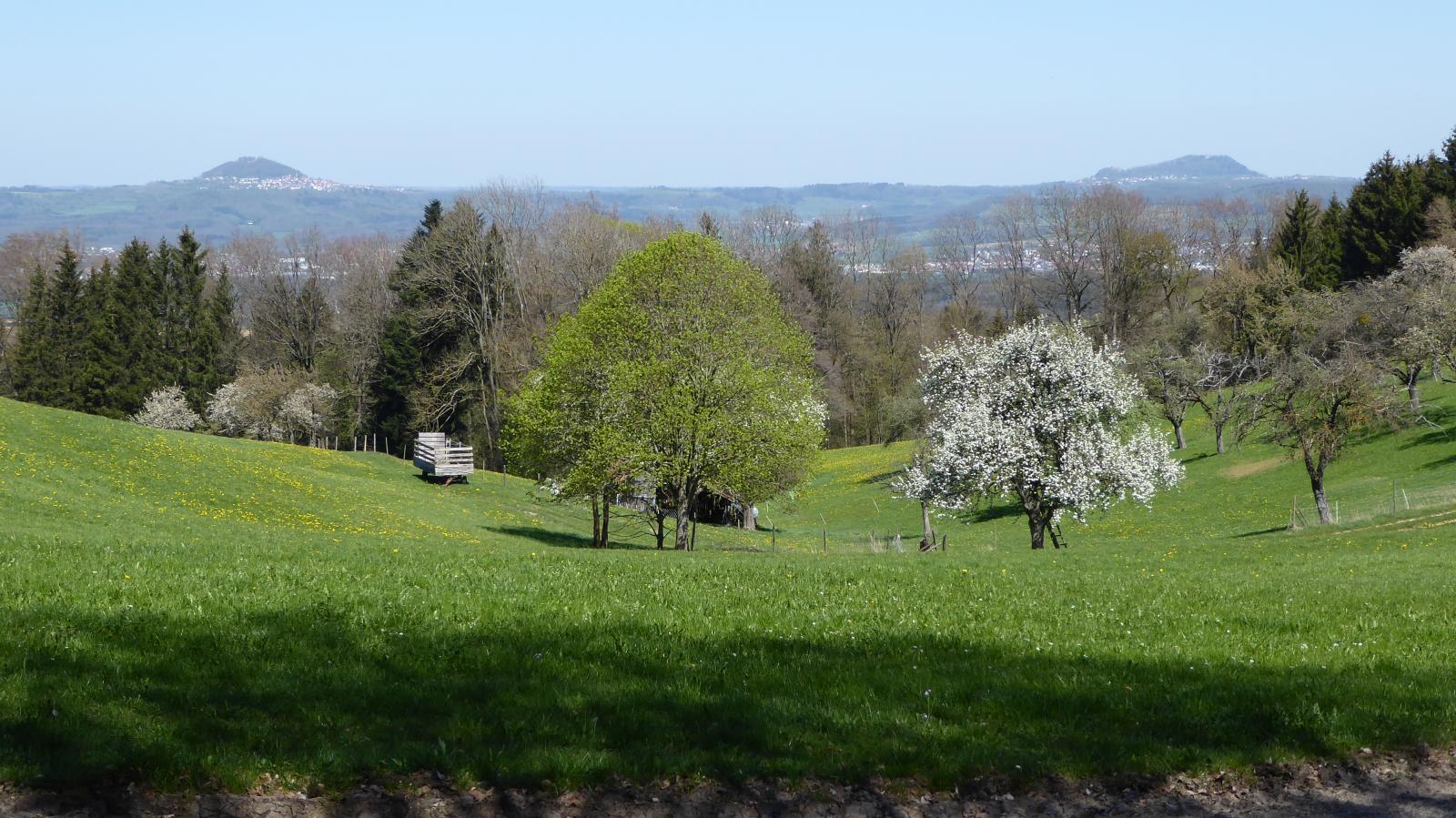 HohenstaufenRechberg