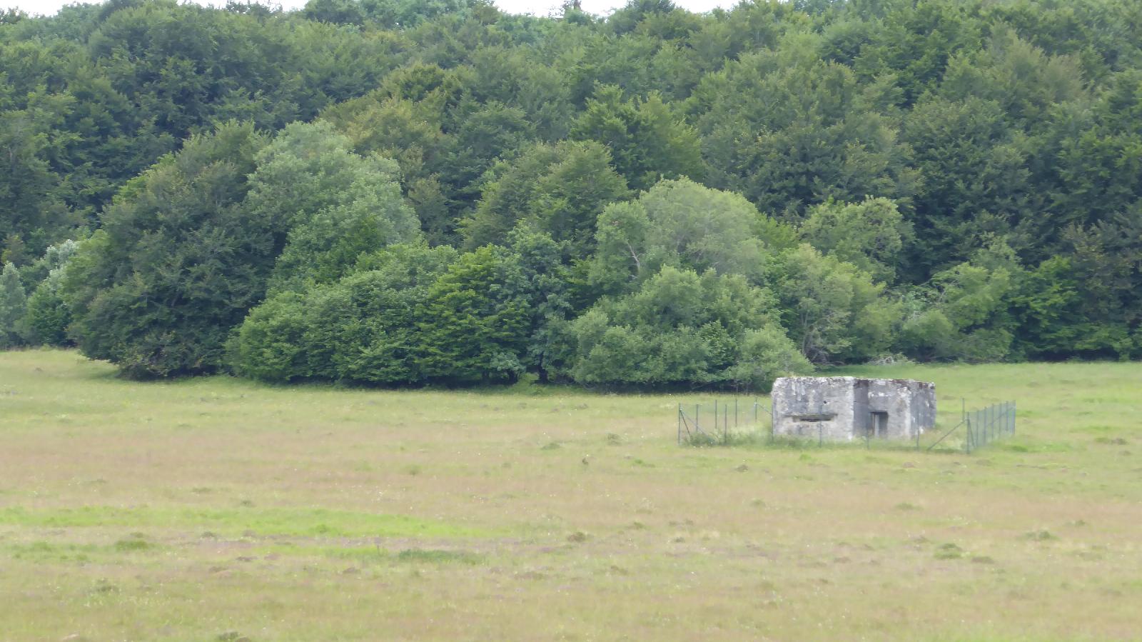 Bunker