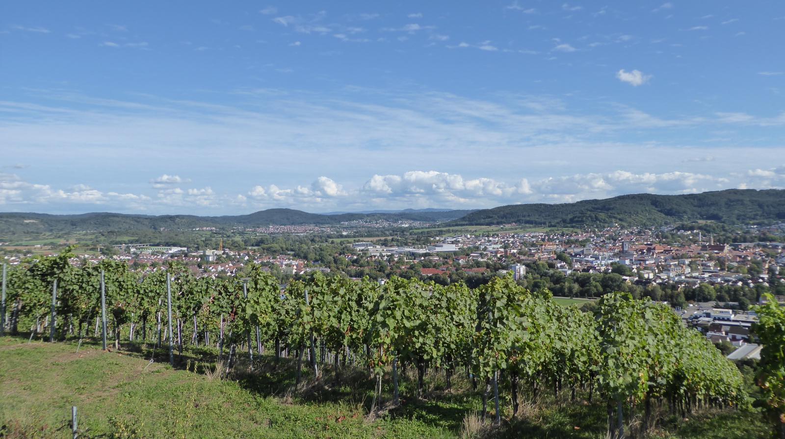 Ausblick