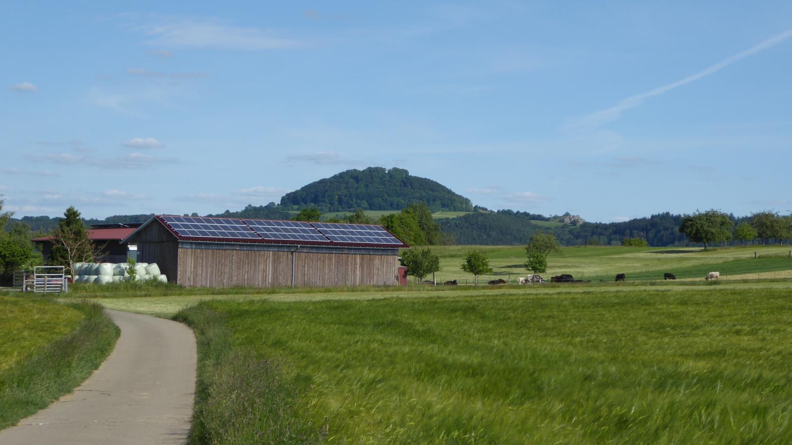 Hohenstaufen
