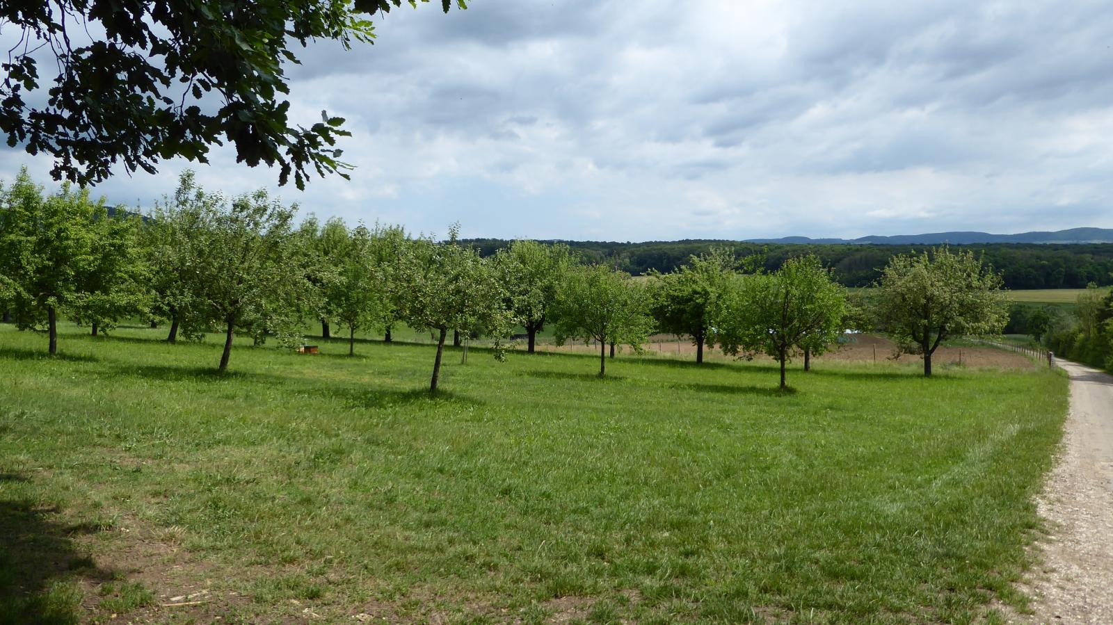 Lerchenberg