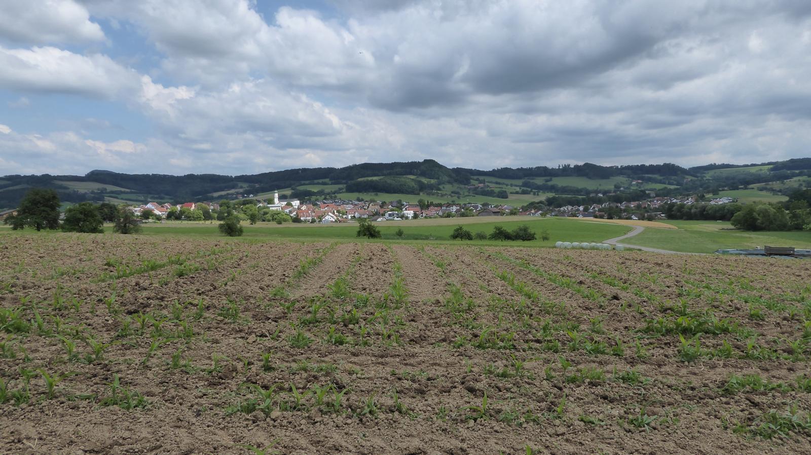 Ottenbach