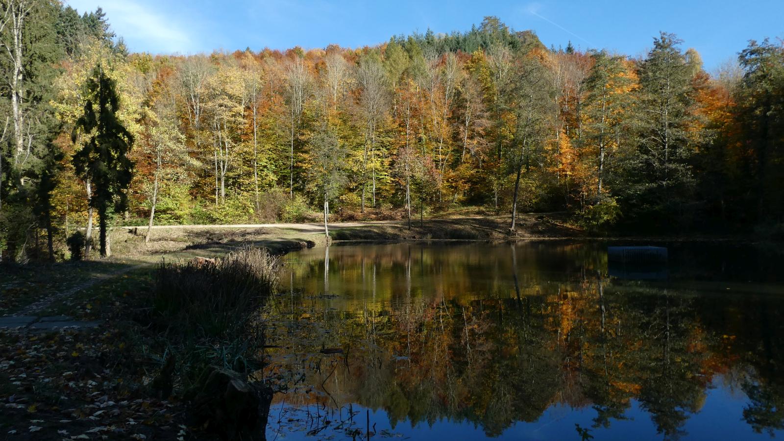Weilerbachsee