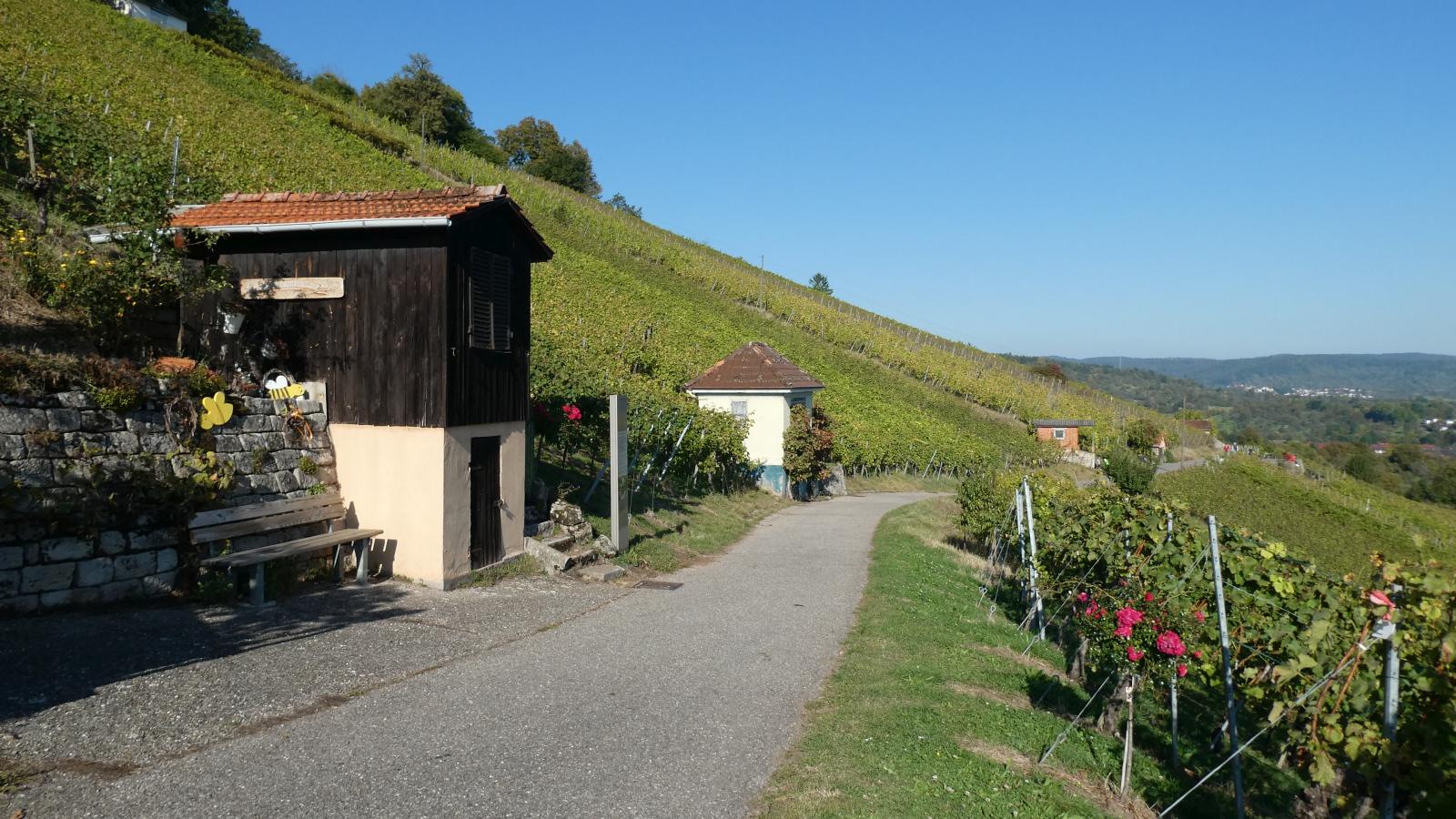 Weinberg