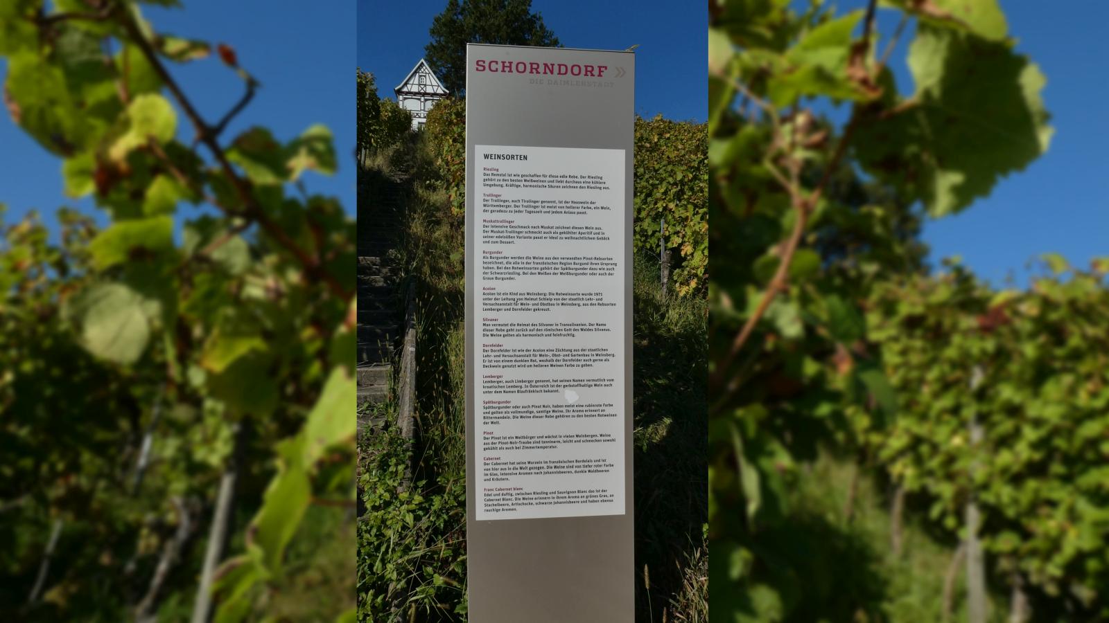 Weinsorten